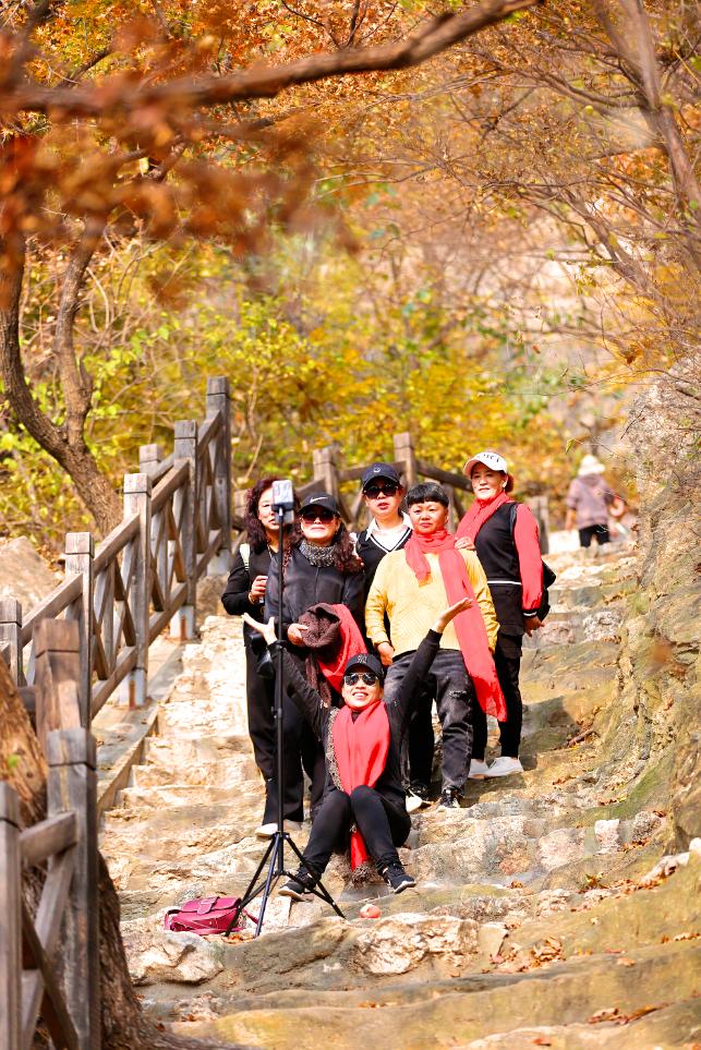 抓住秋天摘苹果,抓住秋天的尾巴赏红叶