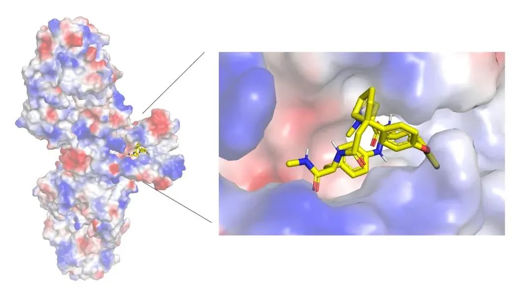 IL17*制剂抑**治疗银屑病关节炎的研究进展