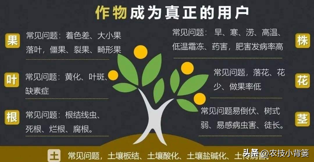 农作物细菌病与真菌病辨别,作物真菌细菌病毒病害的区别