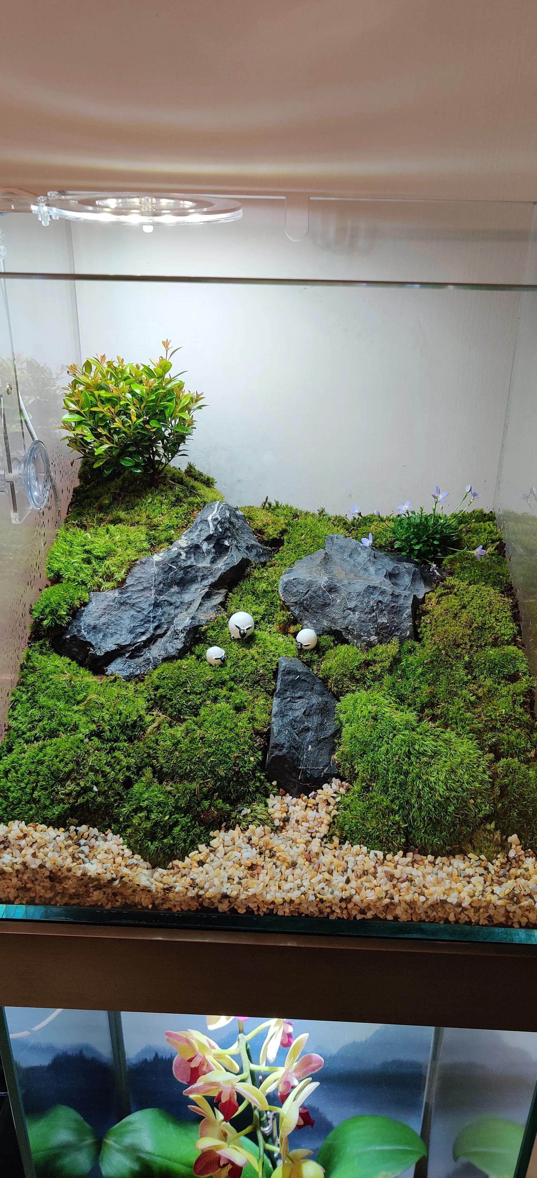 手机柜台展示柜新型,手机展示柜改造翻新创意