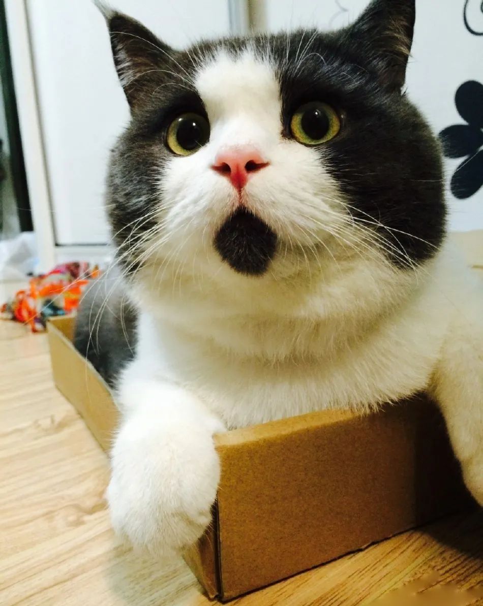 当你第一次吃槟榔的时候,吃槟榔时的你