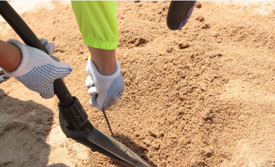 福建海边出现神秘金片，遭渔民哄抢一空，专家调查后：金片不简单