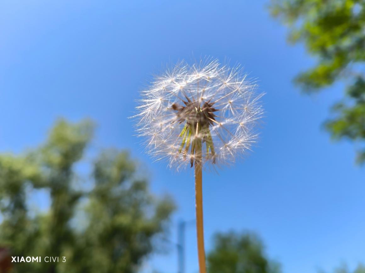 vivos16和opporeno10pro比较,vivo和opporeno10+哪个手机值得买