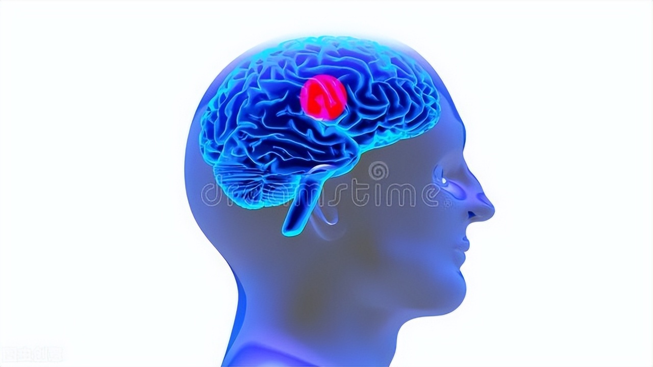 脑子有病变会有哪些症状,身体一旦有4种反常多半脑梗要来