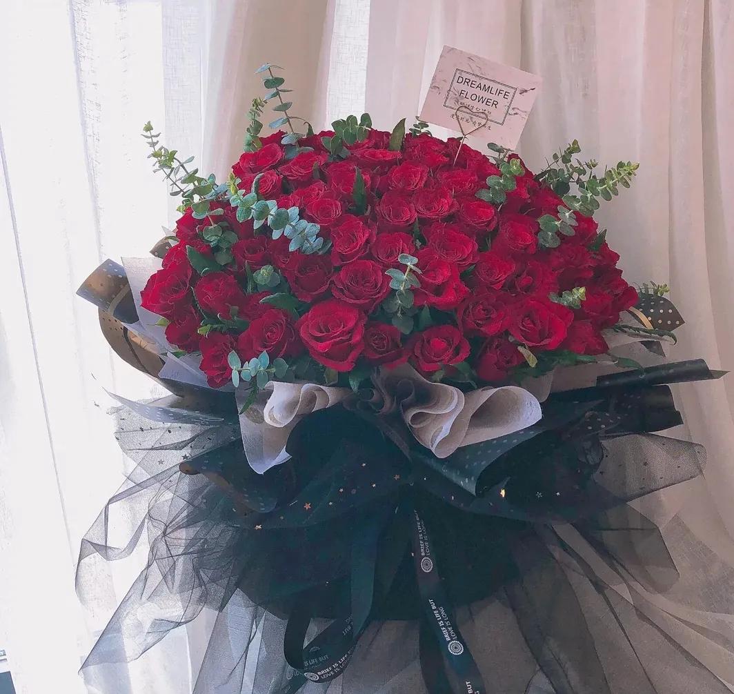 美到窒息的玫瑰花图,鲜花娇艳动人的图片