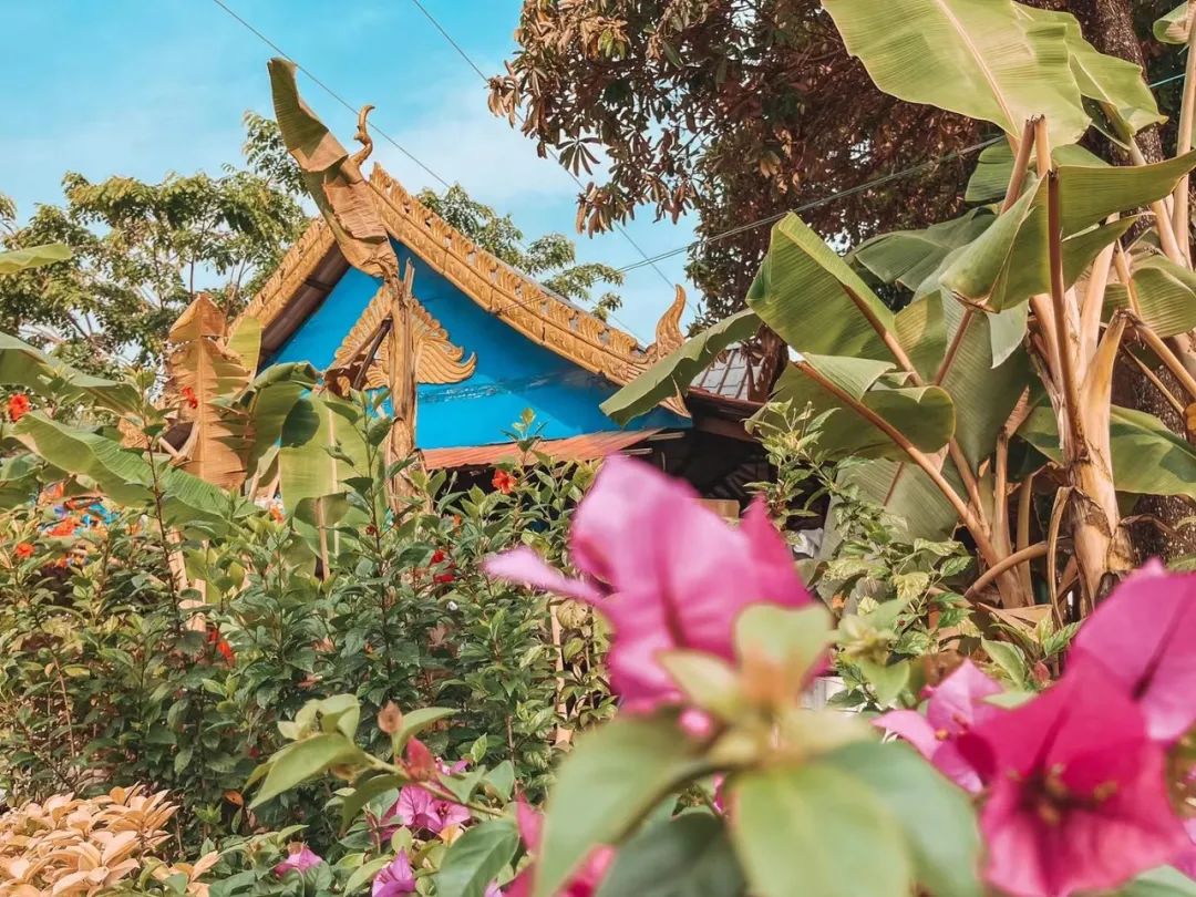 西双版纳体验雨林,吃遍热带水果西双版纳