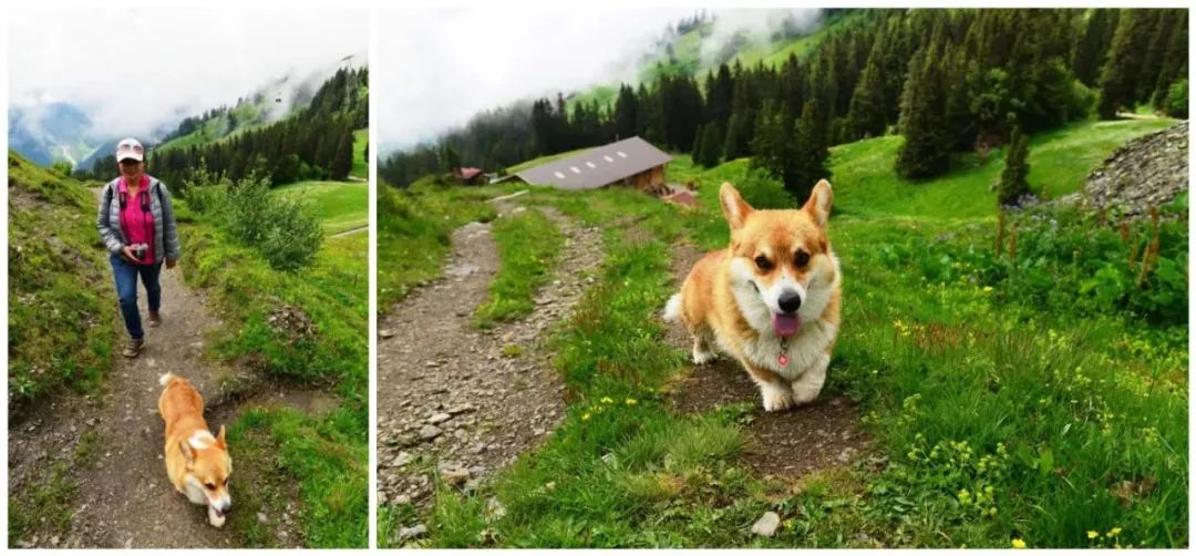 瑞士意大利德国奥地利自驾路线,奥地利瑞士自驾旅行2016年