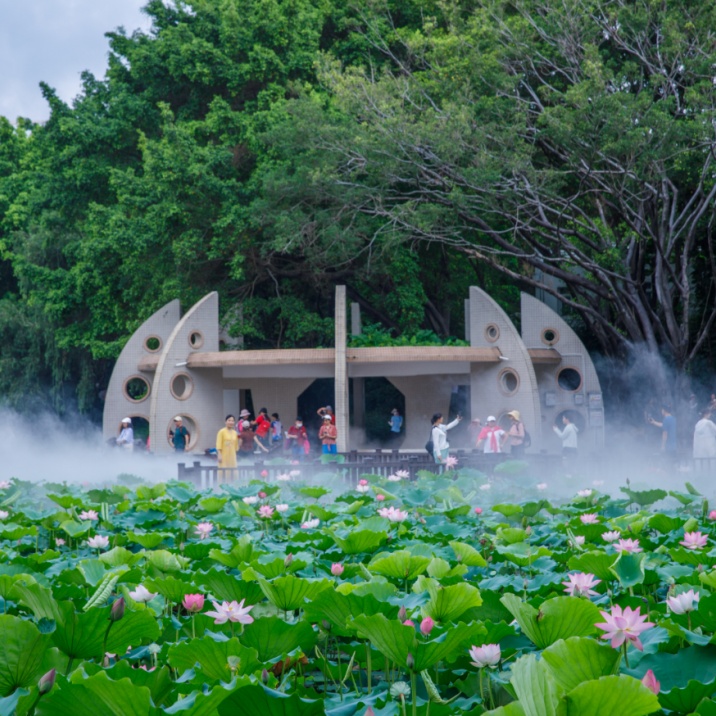深圳人游玩推荐,深圳人爬山看海