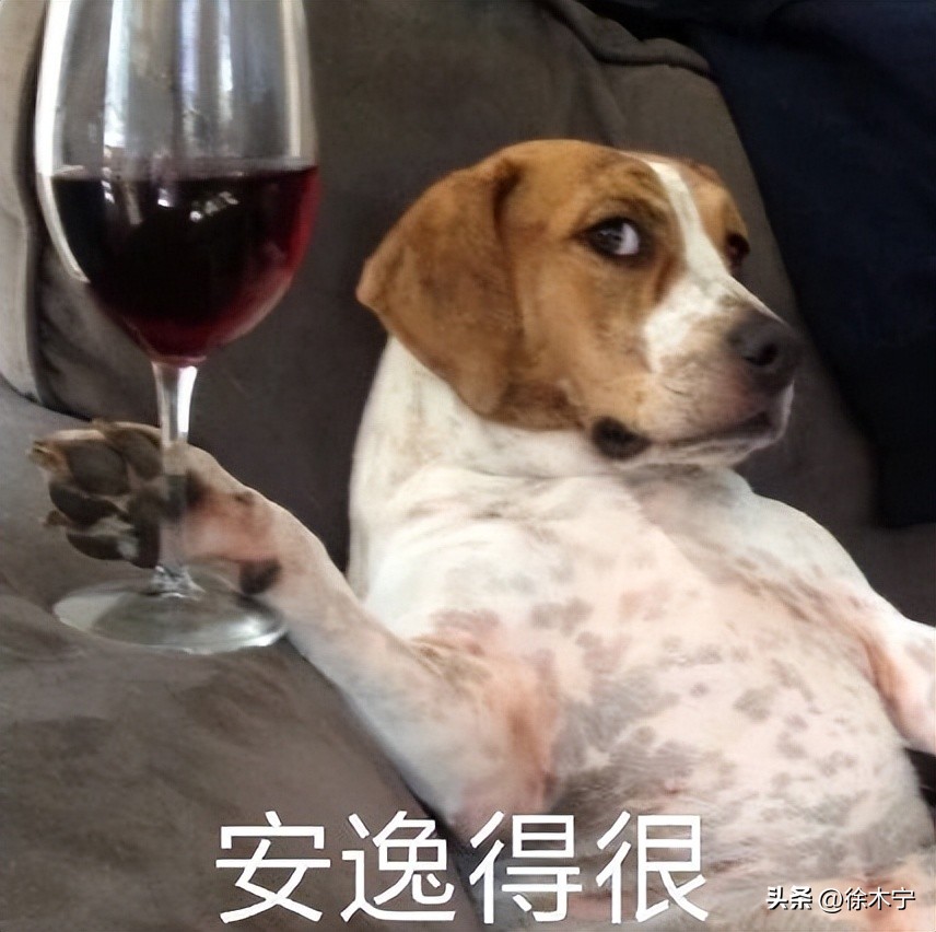 买手机选哪款手机最好,买手机推荐最便宜又最实惠的手机