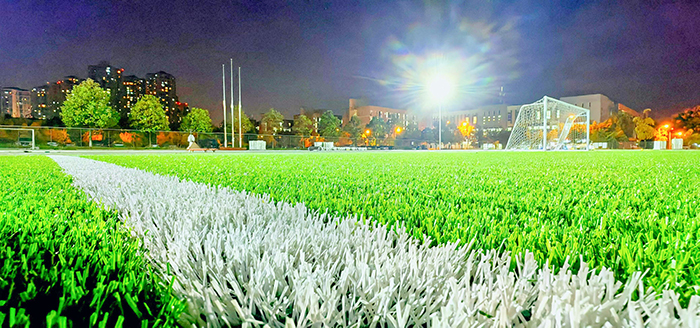 成都fifa认证足球场,国内第一个fifa认证球场