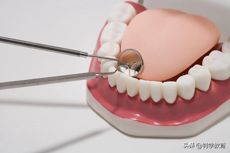 专科女生学什么专业好,女生专科十大热门专业