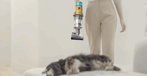 戴森除螨吸尘器吸地3合一,戴森吸尘器到底好在哪