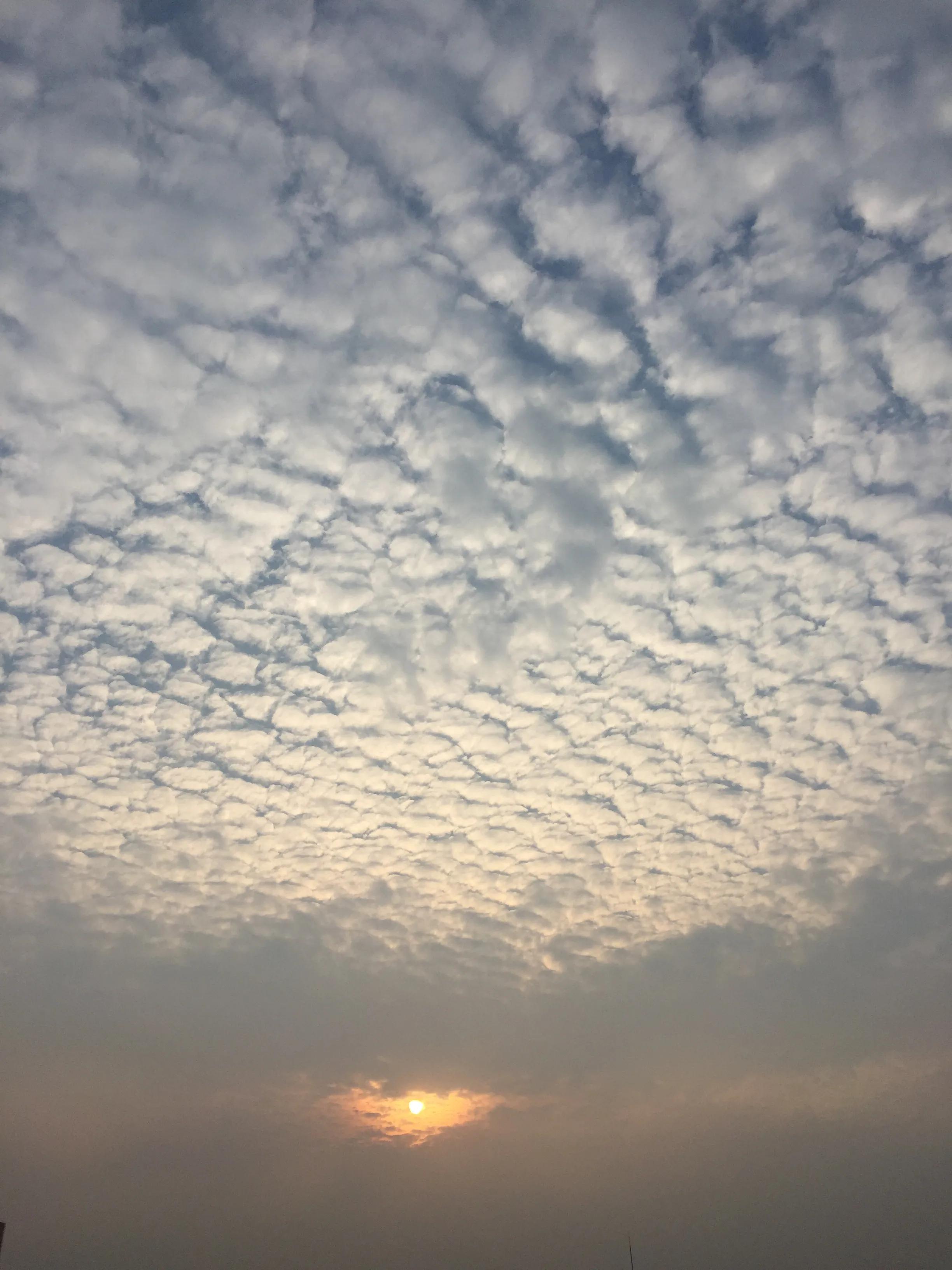 唯一值得炫耀的一件事情,被爱是值得炫耀的一件事