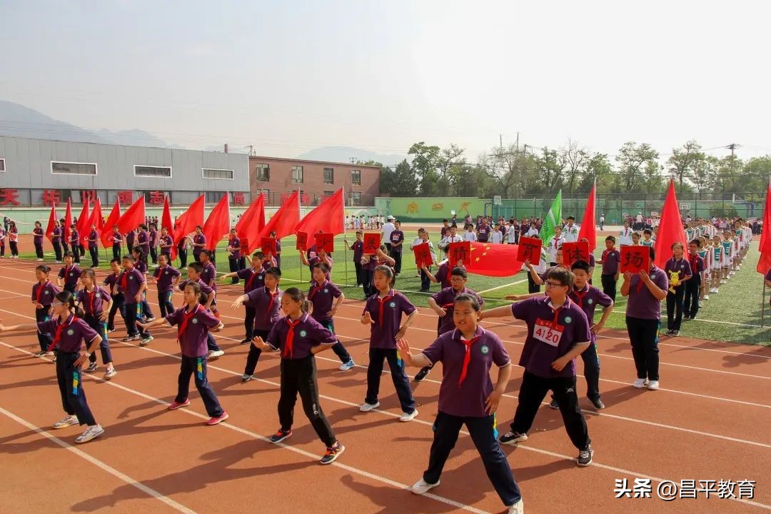 校园竞技,校园赛场青春激扬活力四射