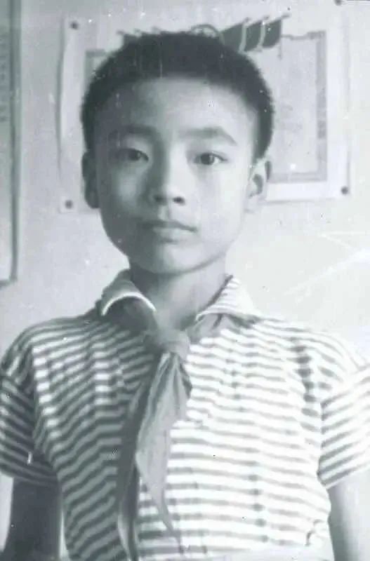 康辉后悔丁克吗,康辉谈后悔丁克视频