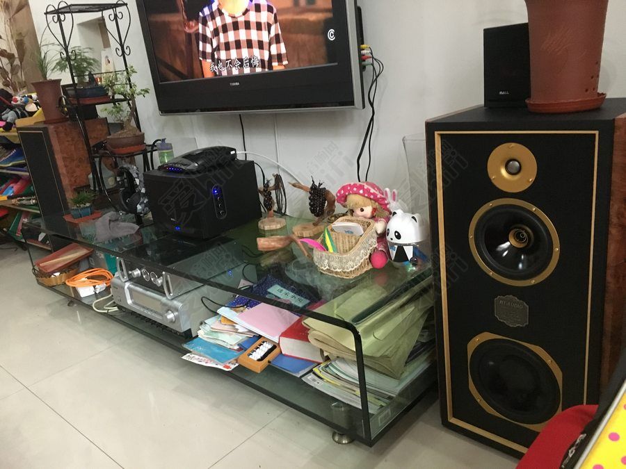 发烧就是败家?看看一个爱乐者的内心独白