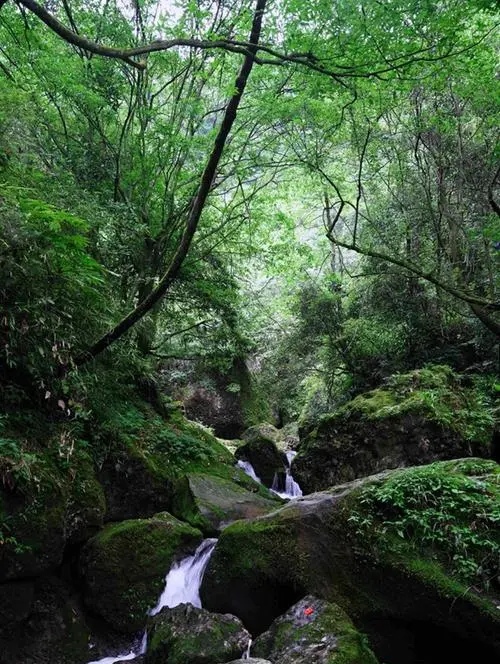面对琐碎的生活依然热爱着生活,面对生活琐事要有最纯真的笑容