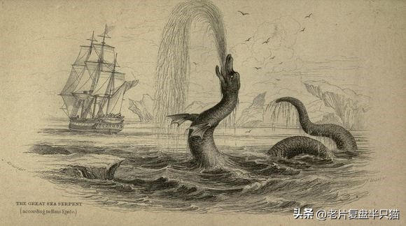 哥斯拉20个泰坦解析,哥斯拉2泰坦巨兽彩蛋