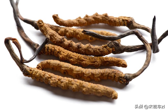 买冬虫夏草的骗局,冬虫夏草买卖要交税吗