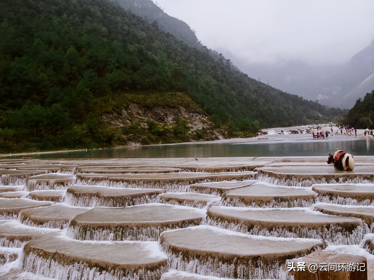 「一根风花雪月的鸡毛」（云南丨昆大丽香）