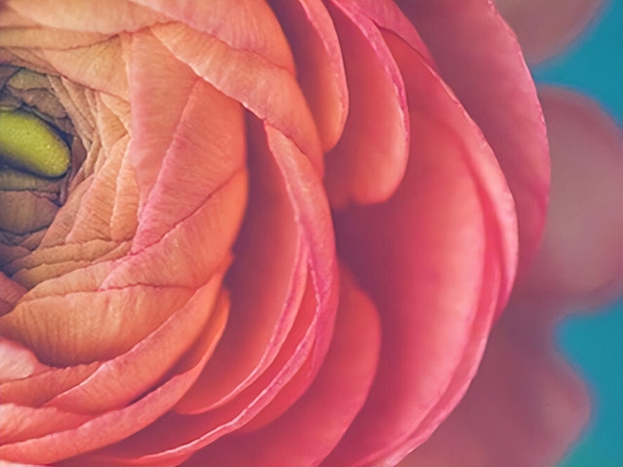 上升水瓶座给人的感觉,上升水瓶不为人知的潜能