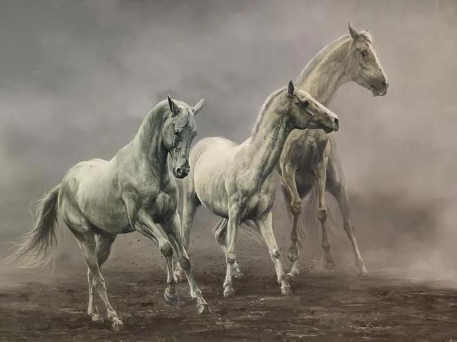 好风凭借力送我上青云电影,好风凭借力送我上青云作者