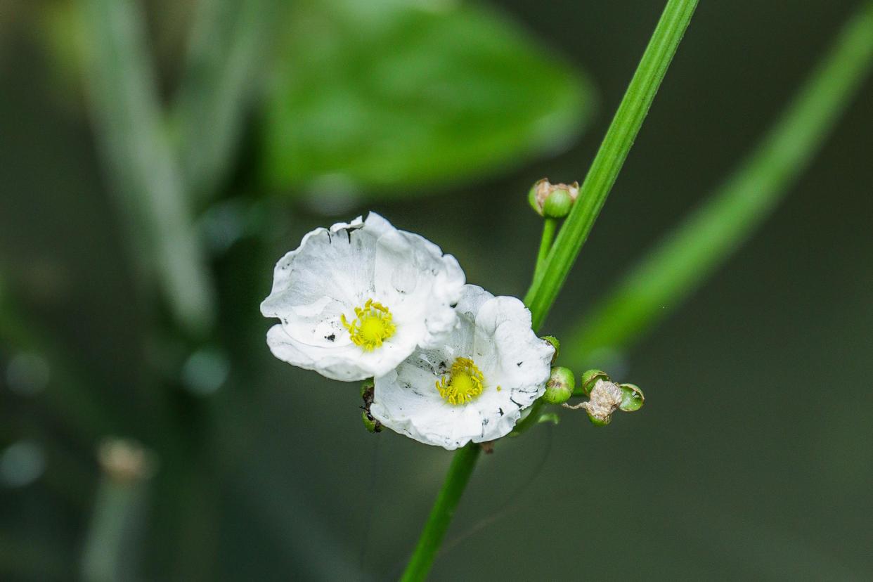 一生清醒却活得孤独的星座,专治抑郁的五大星座