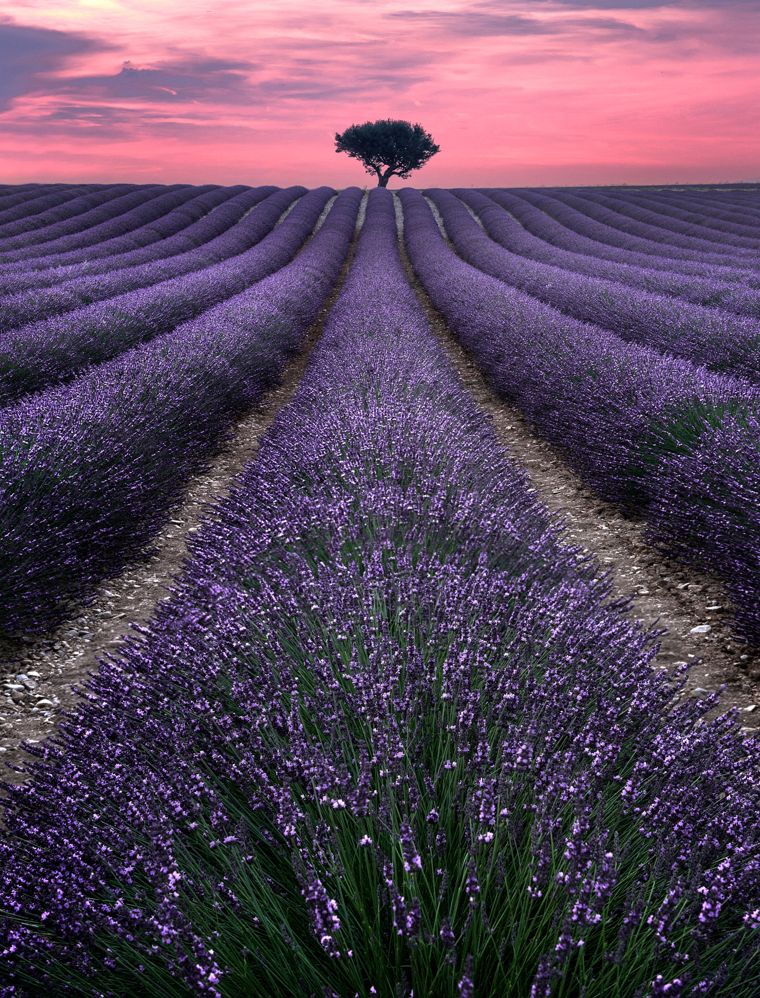 摄影五大景别简单介绍,风景摄影深度解析