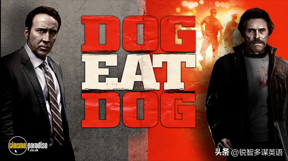 可爱的动物英语单词,可爱的动物英语名字