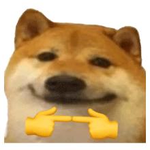 可笑,优酷这操作,就该被喷