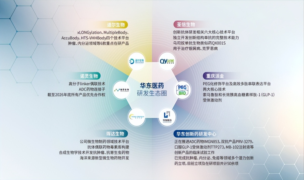 华东医药创新成长,华东医药国际业务是什么