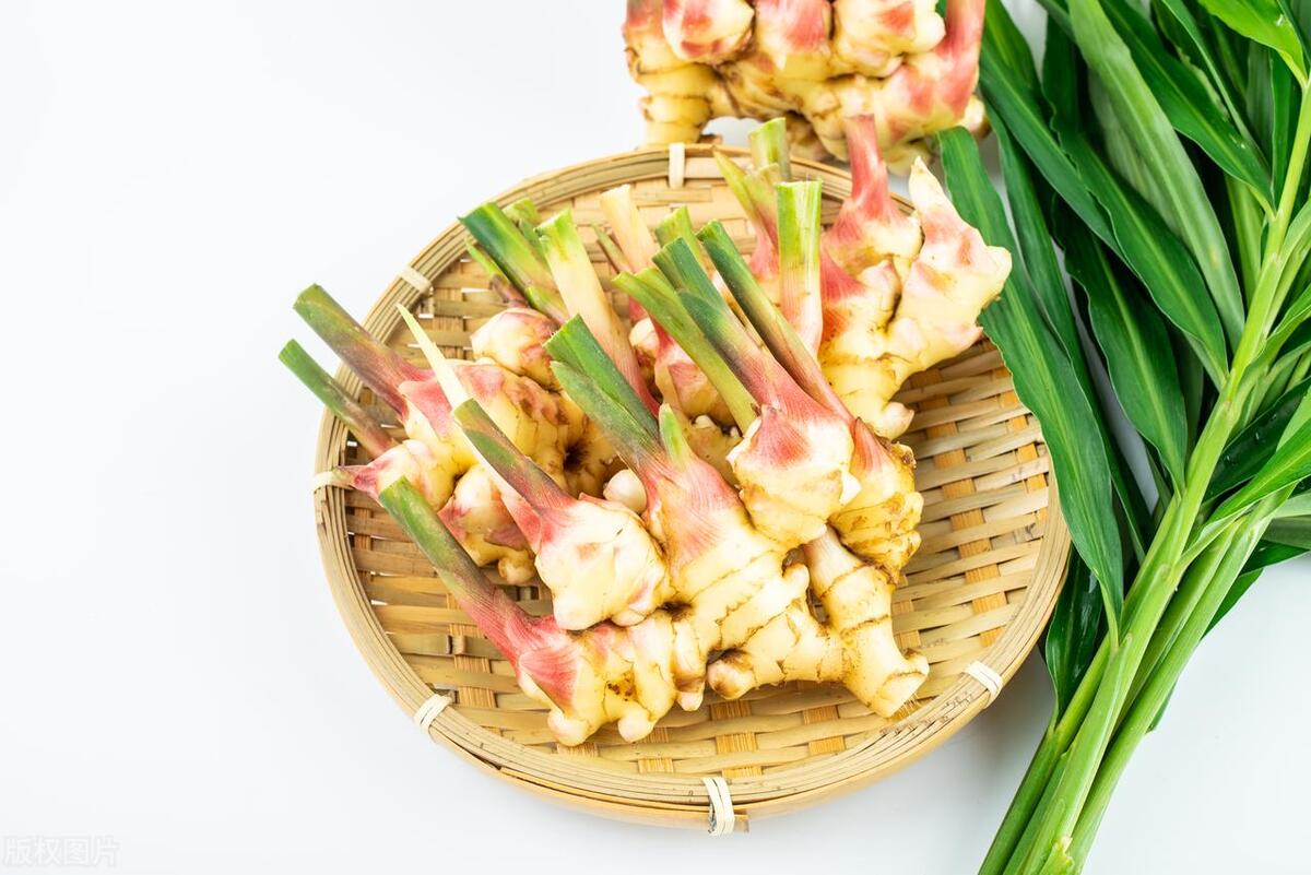 夏吃姜，六零后大妈教你3种吃法，这才是姜的正确吃法，太实用了