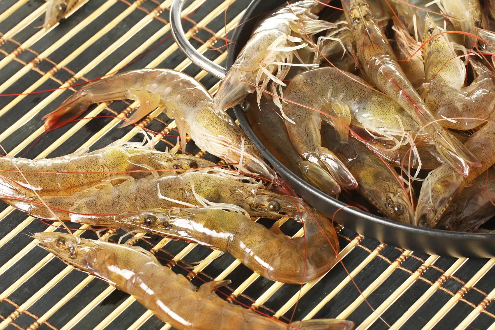 熟海虾的10种最佳吃法,挑选新鲜海虾怎么吃好些