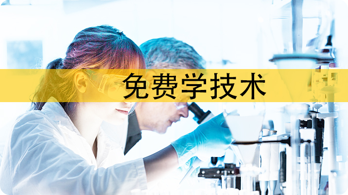 无醇植物油燃料生产厂家及植物油燃料复合油的优势？