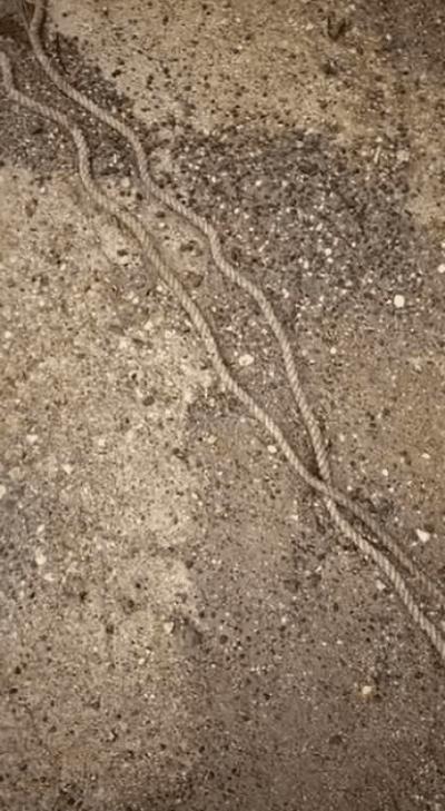 閲忓瓙鍔涘杞欢鎺ㄨ崘,閲忓瓙鍔涘杞欢