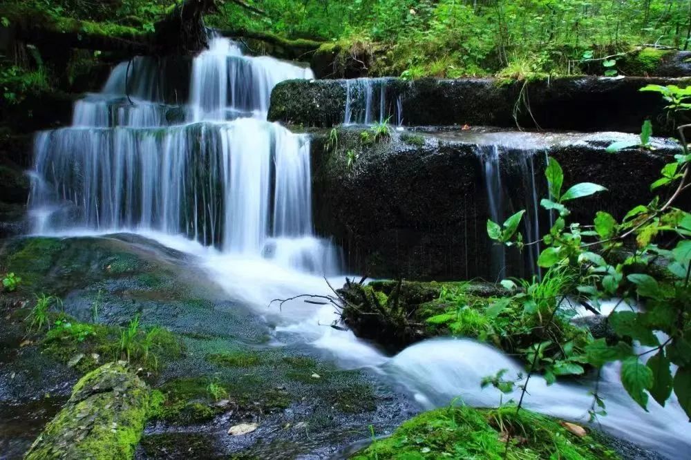 美好的夏天一切都在盛放,一切都从这个美好的夏天开始