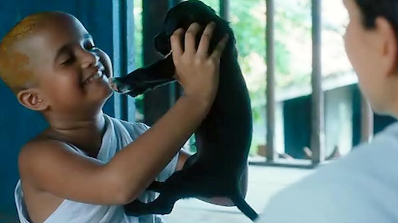 印度女性悲惨生活的电影,揭露印度女人悲惨的一生的电影