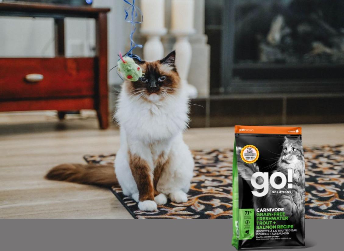 go猫粮为什么突然便宜这么多,go猫粮推荐