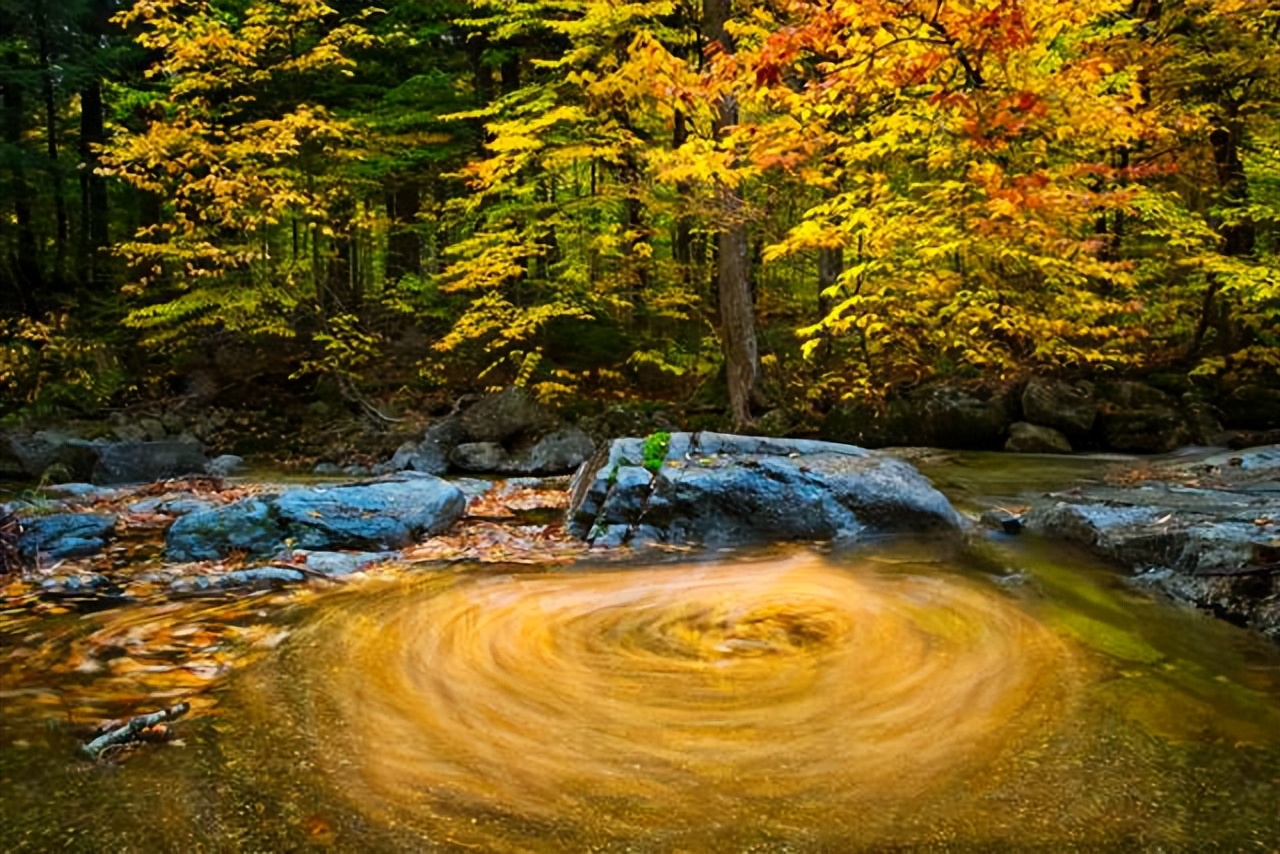 中国的五行太厉害了,中国为什么叫中国五行