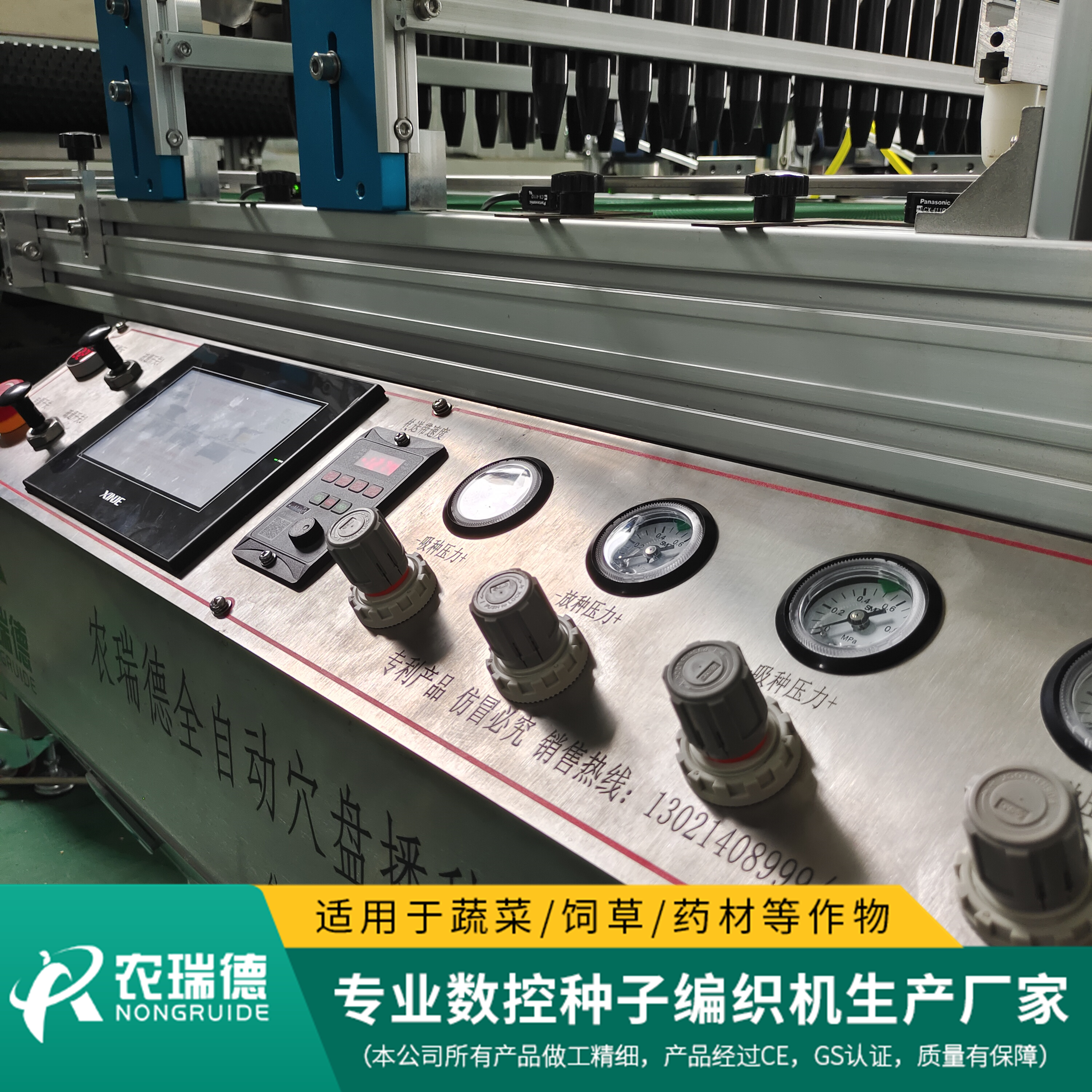 羽衣甘蓝穴盘育苗,甘蓝育苗盘育苗方法视频