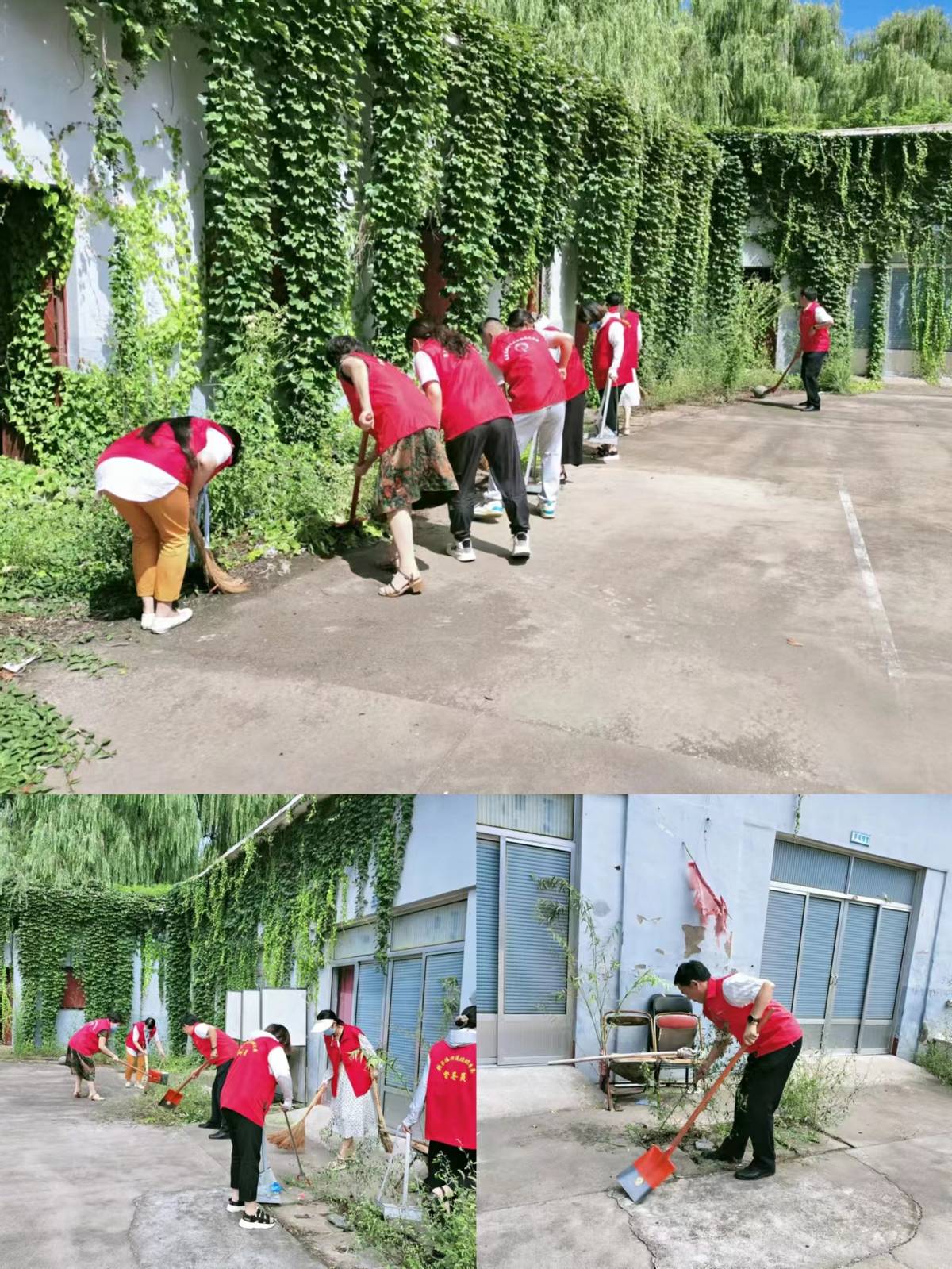 莱芜文旅官网,莱芜文旅是干什么的