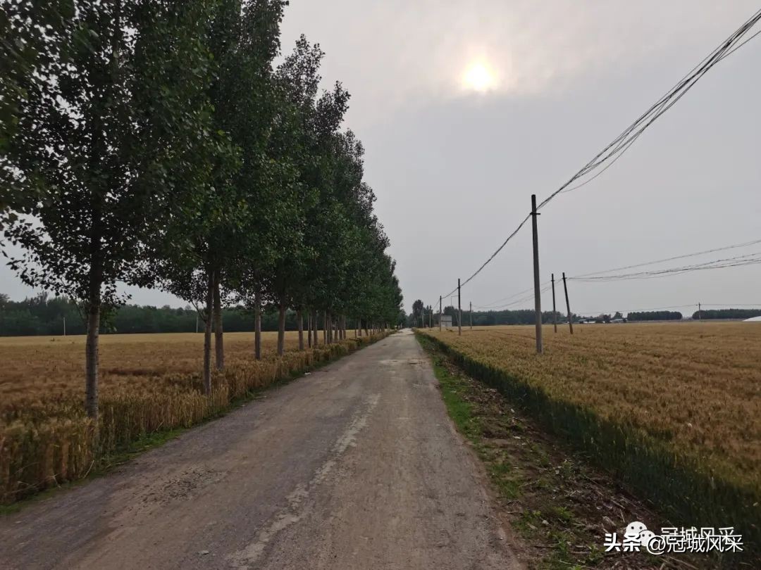 冠县乡韵·贾镇小艾寨村