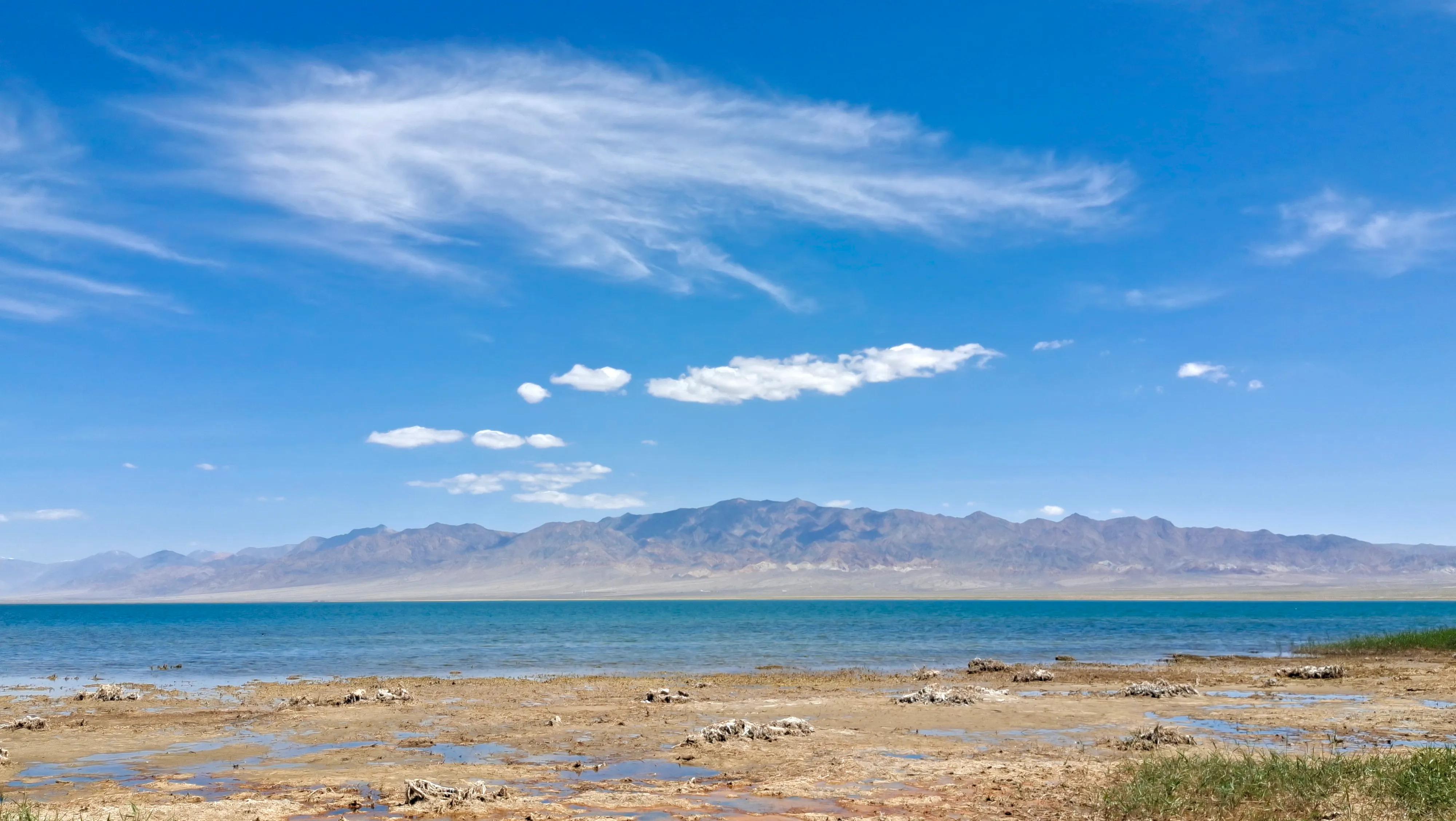 昆仑山口和可可西里自驾游路线,甘青深度游8天可可西里