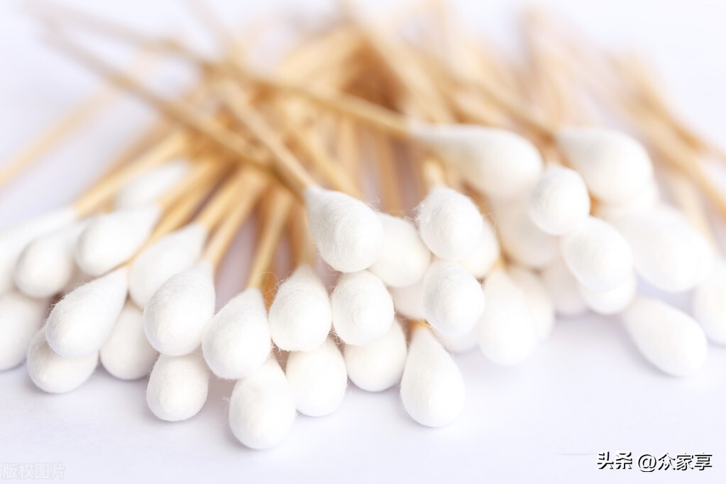 宠爱有家猫咪领养,宠爱有家猫咪