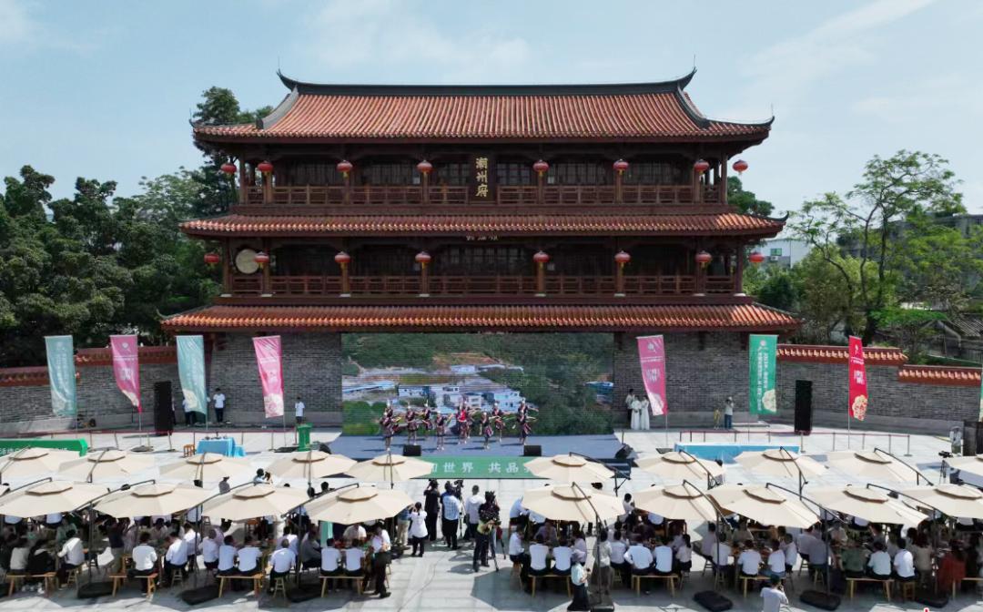 全球共享中国好茶！第四个国际茶日留下了哪些精彩时刻？