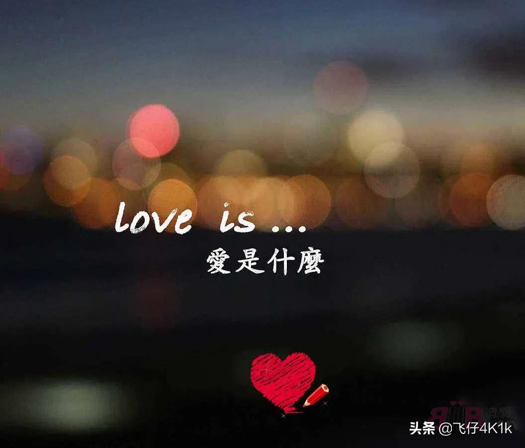 怎么可以不去爱一个人,怎么样才算真正爱一个人