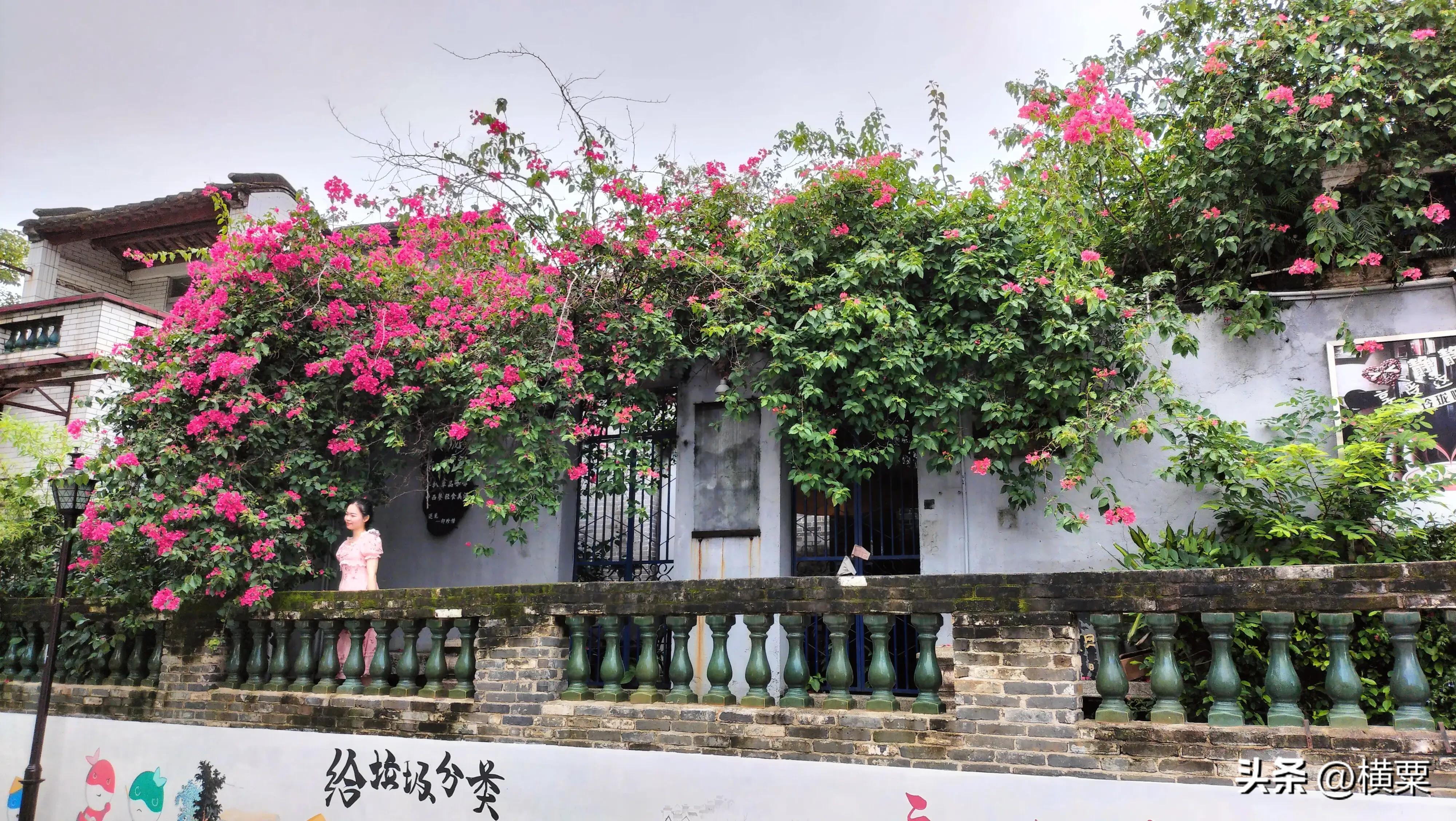 珠海唐家湾有什么好玩的地方,珠海唐家湾有什么