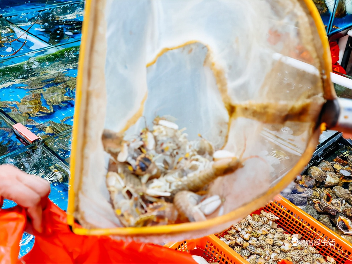 厦门最值得吃的海鲜市场是哪里,厦门八市烟火味大排档