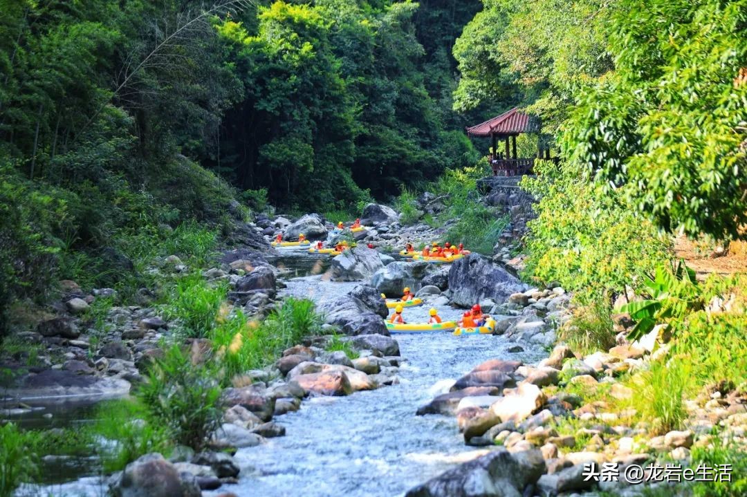 夏天龙岩哪里凉快适合避暑,龙岩新罗区有哪些避暑的好地方