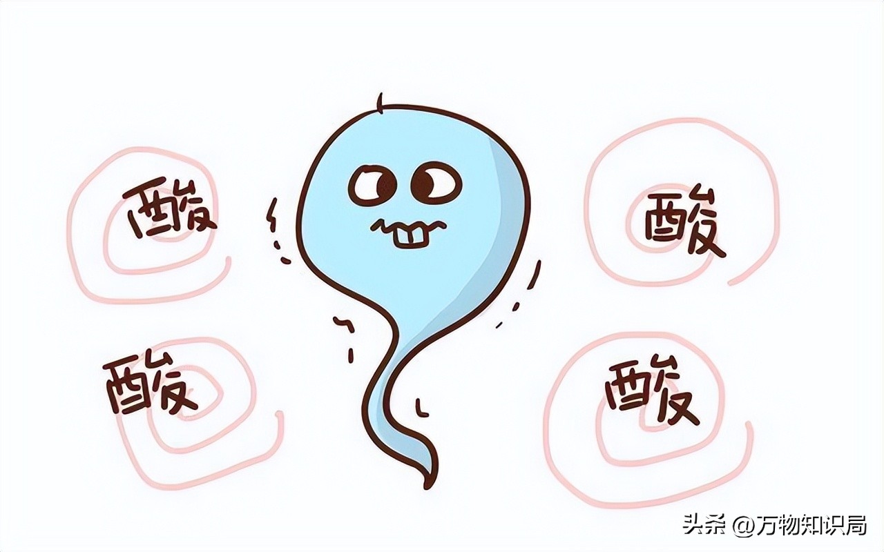 进入女性体内后，没“受精”成功的精子都去哪儿了？既好笑又心疼